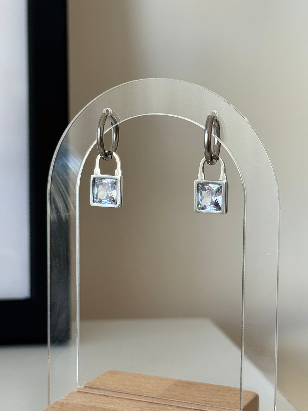 Steel Silver Color Earrings